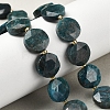 Natural Apatite Beads Strands G-C116-A159-03-1