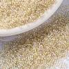 MIYUKI Round Rocailles Beads SEED-X0056-RR4530-1