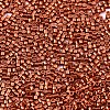 FGB 11/0 Grade A Glass Seed Beads SEED-S030-1210-2