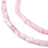 Natural Freshwater Shell Dyed Beads Strands X-SHEL-M018-12-09-3