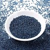 MIYUKI Round Rocailles Beads X-SEED-G007-RR0347-2