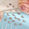 Preciosa® MAXIMA Crystal Fancy Stones X-PRC-FD12-70530-2