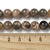 Natural Black Moonstone Beads Strands G-Q183-A01-01-5