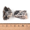 Natural Grey Moonstone Display Decorations G-N347-11C-4