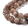 Natural Multi-Moonstone Beads Strands G-I247-14A-01-4