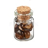 Transparent Glass Wishing Bottle Decoration DJEW-A001-01C-12-4