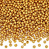100G 6/0 Glass Seed Beads SEED-SP0001-12B-01-1