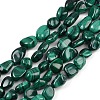 Natural Malachite Beads Strands G-L493-42A-1