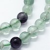 Natural Fluorite Beads Strands G-I199-12-6mm-3