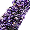 Natural Charoite Beads Strands G-E569-K04-1