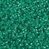 MIYUKI Round Rocailles Beads SEED-X0056-RR0572-3