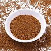 MIYUKI Delica Beads SEED-J020-DB2108-2