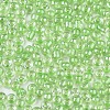 6/0 Glass Seed Beads SEED-A015-4mm-2214-2