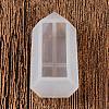DIY Bullet Pendant Silicone Molds DIY-F141-03B-2