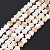 Natural Freshwater Shell Beads Strands SHEL-H002-03G-3