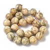 Natural Feldspar Beads Strands G-F818-A06-16mm-02-3