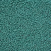 11/0 Grade A Baking Paint Glass Seed Beads X-SEED-N001-A-1015-2