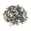Natural Freshwater Shell Beads BSHE-I011-03A-1