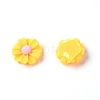Resin Cabochons LS-RESI-TAC0006-02A-02-1