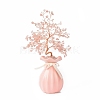 Natural Gemstone Chips and  Ceramic Vase Display Decorations DJEW-B007-01A-1