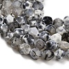 Natural Agate(Dyed & Heated) Beads Strands G-K425-B04-01-3