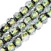 Handmade Foil Glass Lampwork Beads Strands DICH-T023-02C-1