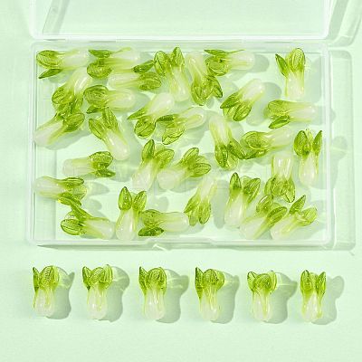 36Pcs Handmade Lampwork Beads LAMP-FS0001-74-1