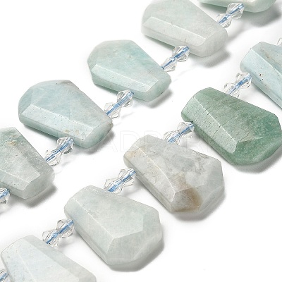 Natural Amazonite Beads Strands G-H078-A06-01-1
