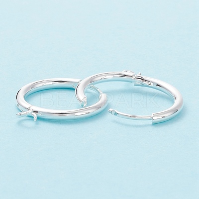 201 Stainless Steel Huggie Hoop Earring Findings STAS-P283-01S-S-1