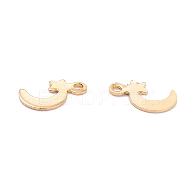 201 Stainless Steel Charms STAS-B001-27G-1
