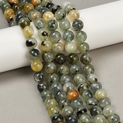 Natural Prehnite Beads Strands G-G457-10mm-03-1