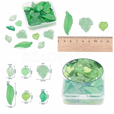 60Pcs 6 Style Transparent & Frosted & Opaque Acrylic Pendants FACR-YW0001-01-1