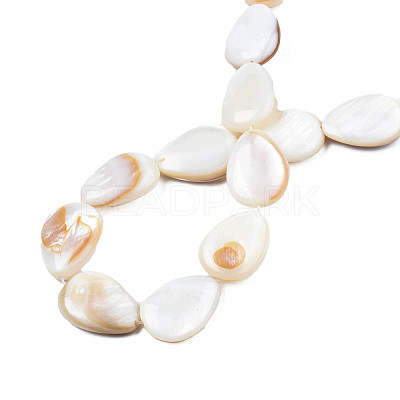 Natural White Shell Beads Strands PBB263Y-1-1