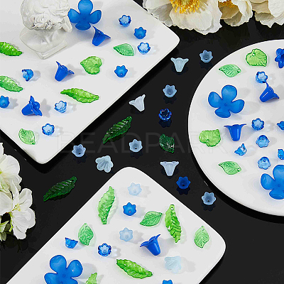 Leaf & Flower Transparent Acrylic Pendants & Beads Findings Kits MACR-FH0001-25-1