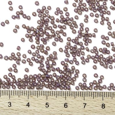 TOHO Round Seed Beads SEED-JPTR11-0166BF-1