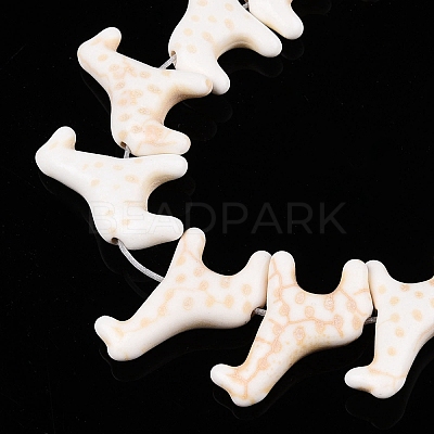 Synthetic Turquoise Beads Strands UNKW-T001-19-1