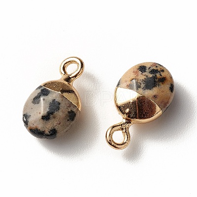 Electroplate Natural Dalmatian Jasper Charms G-S344-09C-1