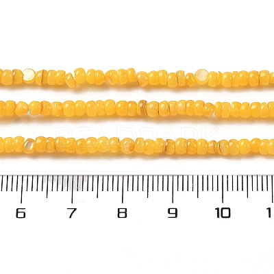 Natural Freshwater Shell Beads Strands SHEL-P017-01B-06-1