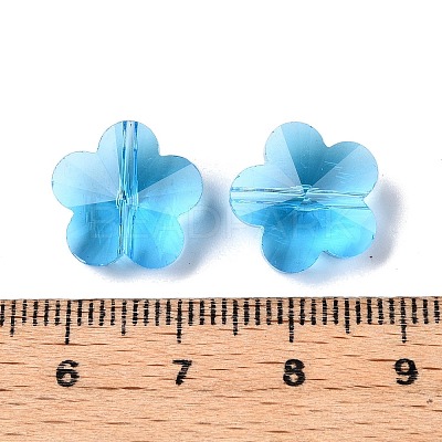 Transparent Glass Beads GLAA-Q066-14mm-C09-1