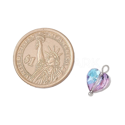 Transparent Glass Charms PALLOY-JF04198-02-1