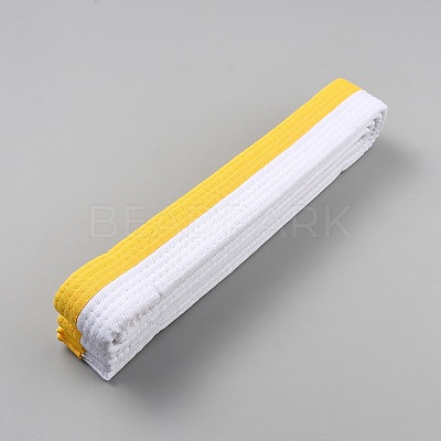 Taekwondo Belt AJEW-WH20022-73B-04-1