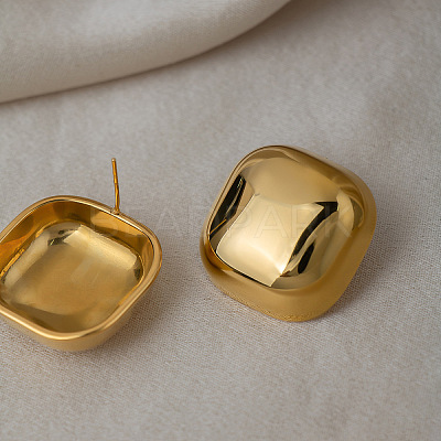 Stainless Steel Stud Earrings for Women TF5466-1-1