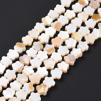 Natural Freshwater Shell Beads Strands SHEL-H002-03G-1