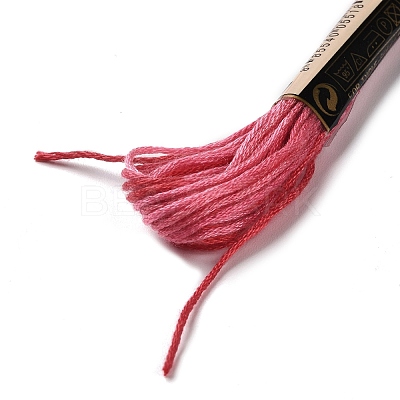 10 Skeins 6-Ply Polyester Embroidery Floss OCOR-K006-A19-1