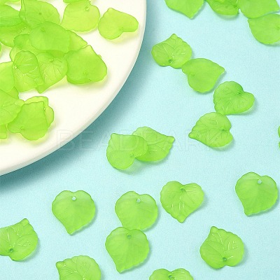 Transparent Frosted Acrylic Leaf Charms FACR-YW0001-06B-1