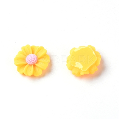 Resin Cabochons LS-RESI-TAC0006-02A-02-1