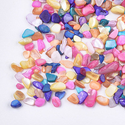 Shell Beads MRMJ-S034-06G-1
