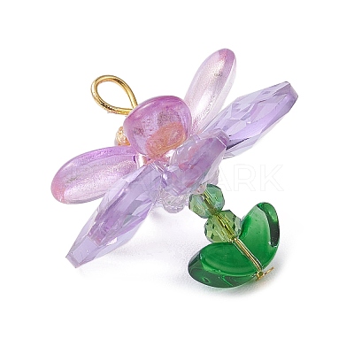 Glass & Acrylic Pendantns PALLOY-MZ01163-1