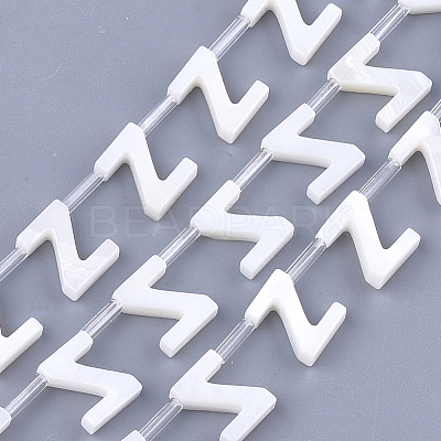 Natural Freshwater Shell Beads SHEL-T012-59-1