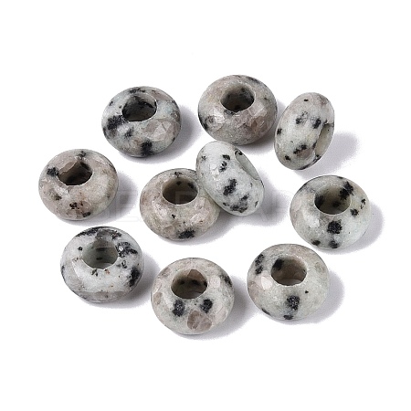 Natural Labradorite European Beads G-N359-17A-06-1